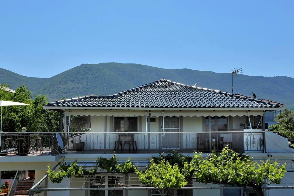 イグメニツァ"Elegant & Quiet House"アパートメント エクステリア 写真